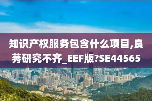 知识产权服务包含什么项目,良莠研究不齐_EEF版?SE44565