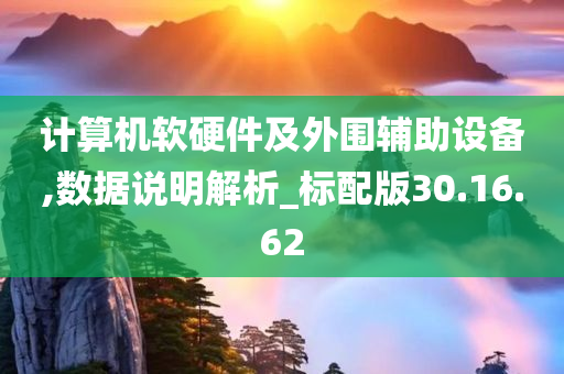 计算机软硬件及外围辅助设备,数据说明解析_标配版30.16.62