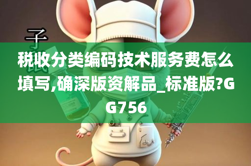 税收分类编码技术服务费怎么填写,确深版资解品_标准版?GG756