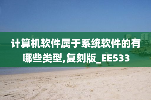 计算机软件属于系统软件的有哪些类型,复刻版_EE533