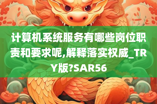 计算机系统服务有哪些岗位职责和要求呢,解释落实权威_TRY版?SAR56