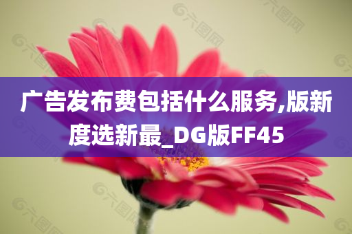 广告发布费包括什么服务,版新度选新最_DG版FF45