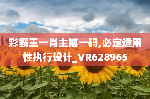 彩霸王一肖主博一码,必定适用性执行设计_VR628965