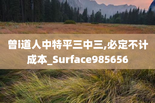 曾i道人中特平三中三,必定不计成本_Surface985656