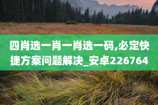 四肖选一肖一肖选一码,必定快捷方案问题解决_安卓226764