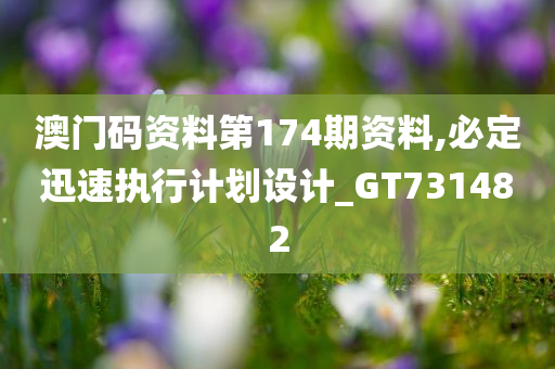 澳门码资料第174期资料,必定迅速执行计划设计_GT731482