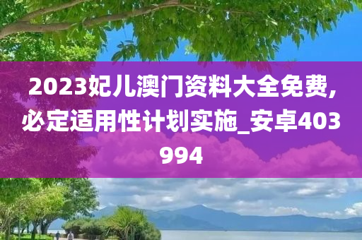 2023妃儿澳门资料大全免费,必定适用性计划实施_安卓403994