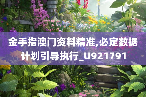 金手指澳门资料精准,必定数据计划引导执行_U921791