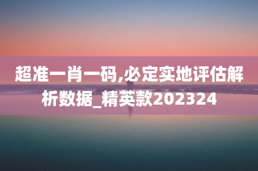 超准一肖一码,必定实地评估解析数据_精英款202324