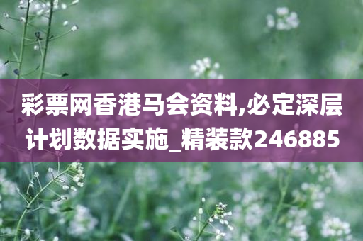 彩票网香港马会资料,必定深层计划数据实施_精装款246885