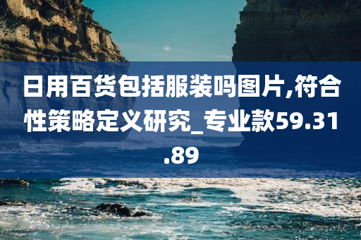 日用百货包括服装吗图片,符合性策略定义研究_专业款59.31.89