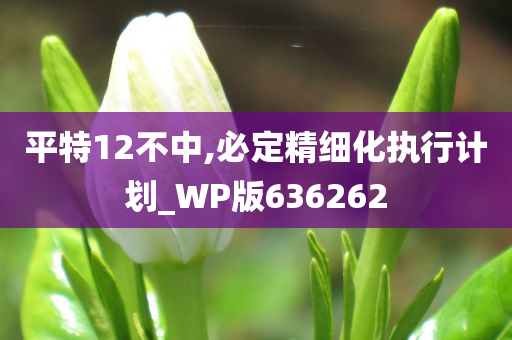 平特12不中,必定精细化执行计划_WP版636262