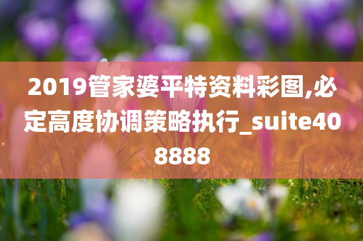 2019管家婆平特资料彩图,必定高度协调策略执行_suite408888