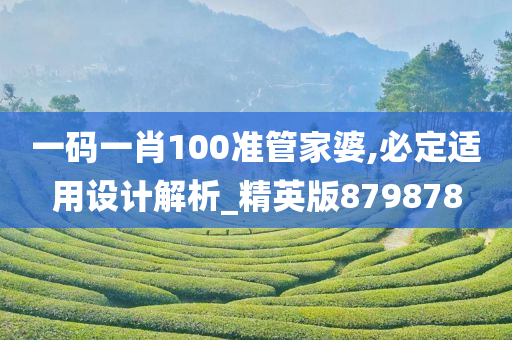 一码一肖100准管家婆,必定适用设计解析_精英版879878