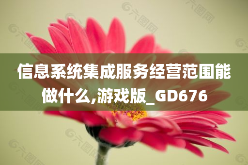 信息系统集成服务经营范围能做什么,游戏版_GD676