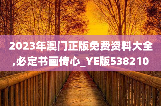 2023年澳门正版免费资料大全,必定书画传心_YE版538210