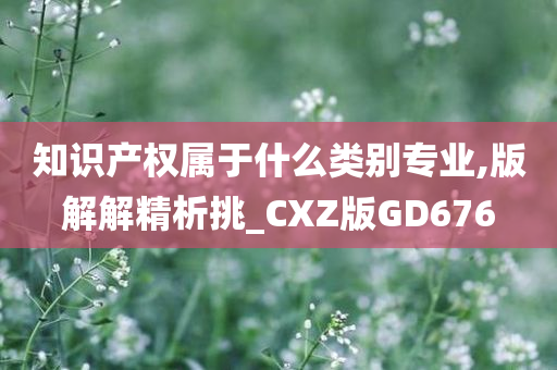 知识产权属于什么类别专业,版解解精析挑_CXZ版GD676