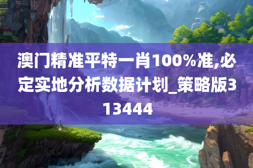 澳门精准平特一肖100%准,必定实地分析数据计划_策略版313444