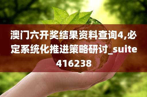 澳门六开奖结果资料查询4,必定系统化推进策略研讨_suite416238