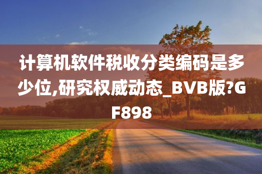 计算机软件税收分类编码是多少位,研究权威动态_BVB版?GF898