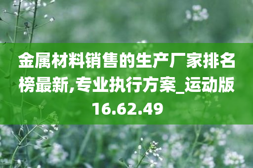 金属材料销售的生产厂家排名榜最新,专业执行方案_运动版16.62.49