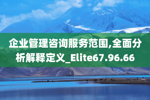 企业管理咨询服务范围,全面分析解释定义_Elite67.96.66