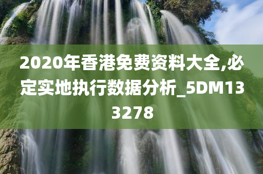 2020年香港免费资料大全,必定实地执行数据分析_5DM133278