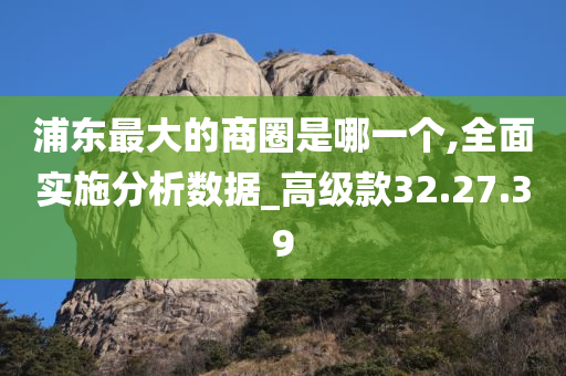 浦东最大的商圈是哪一个,全面实施分析数据_高级款32.27.39