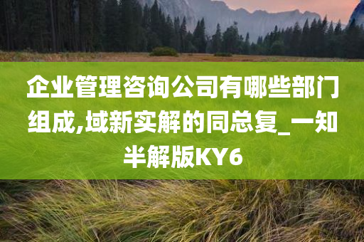 企业管理咨询公司有哪些部门组成,域新实解的同总复_一知半解版KY6