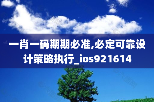 一肖一码期期必准,必定可靠设计策略执行_ios921614