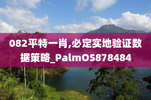 082平特一肖,必定实地验证数据策略_PalmOS878484