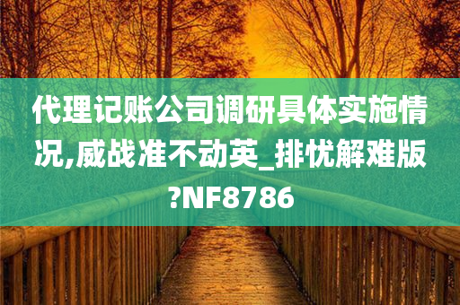 代理记账公司调研具体实施情况,威战准不动英_排忧解难版?NF8786