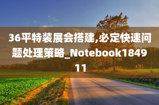 36平特装展会搭建,必定快速问题处理策略_Notebook184911