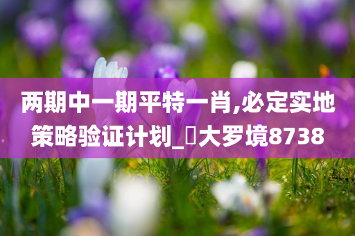 两期中一期平特一肖,必定实地策略验证计划_‌大罗境8738