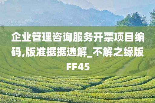 企业管理咨询服务开票项目编码,版准据据选解_不解之缘版FF45