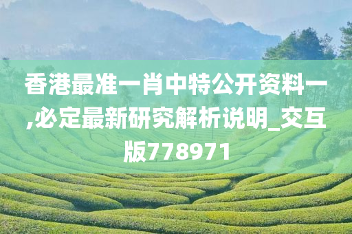 香港最准一肖中特公开资料一,必定最新研究解析说明_交互版778971