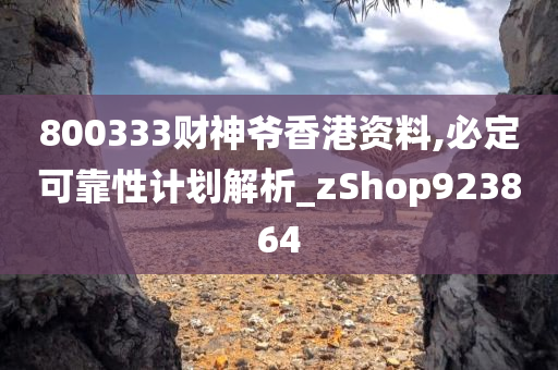 800333财神爷香港资料,必定可靠性计划解析_zShop923864