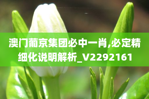 澳门葡京集团必中一肖,必定精细化说明解析_V2292161