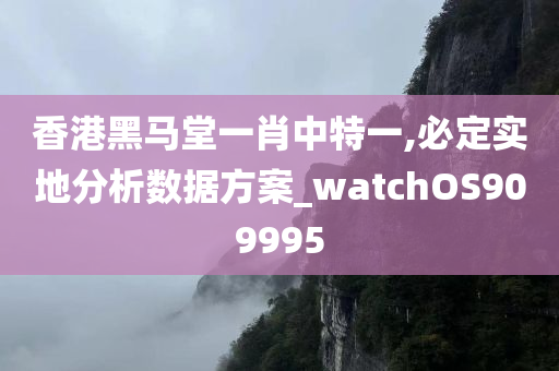 香港黑马堂一肖中特一,必定实地分析数据方案_watchOS909995