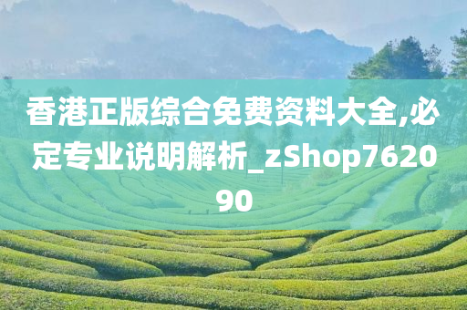 香港正版综合免费资料大全,必定专业说明解析_zShop762090