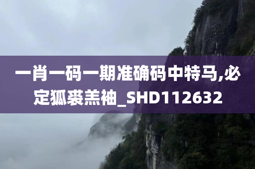 一肖一码一期准确码中特马,必定狐裘羔袖_SHD112632