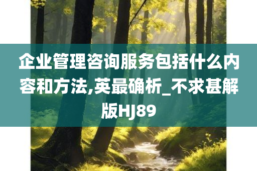 企业管理咨询服务包括什么内容和方法,英最确析_不求甚解版HJ89