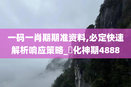 一码一肖期期准资料,必定快速解析响应策略_‌化神期4888