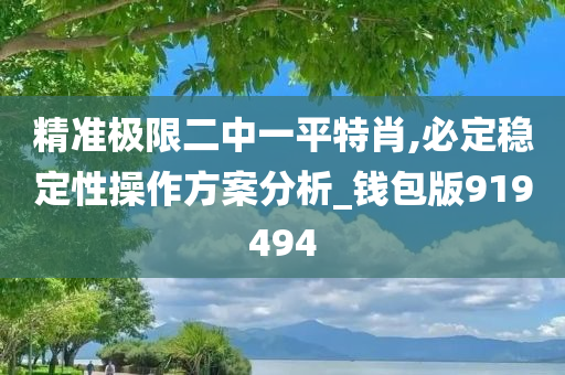 精准极限二中一平特肖,必定稳定性操作方案分析_钱包版919494