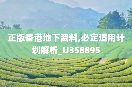 正版香港地下资料,必定适用计划解析_U358895