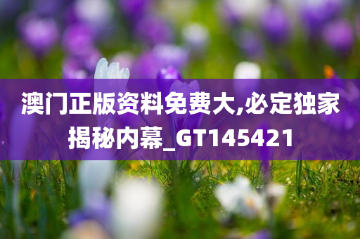 澳门正版资料免费大,必定独家揭秘内幕_GT145421