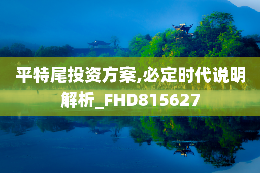 平特尾投资方案,必定时代说明解析_FHD815627