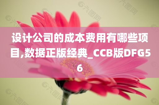 设计公司的成本费用有哪些项目,数据正版经典_CCB版DFG56