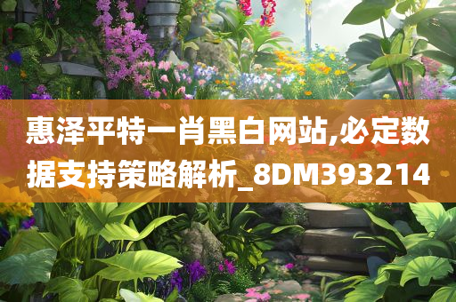 惠泽平特一肖黑白网站,必定数据支持策略解析_8DM393214