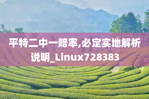 平特二中一赔率,必定实地解析说明_Linux728383